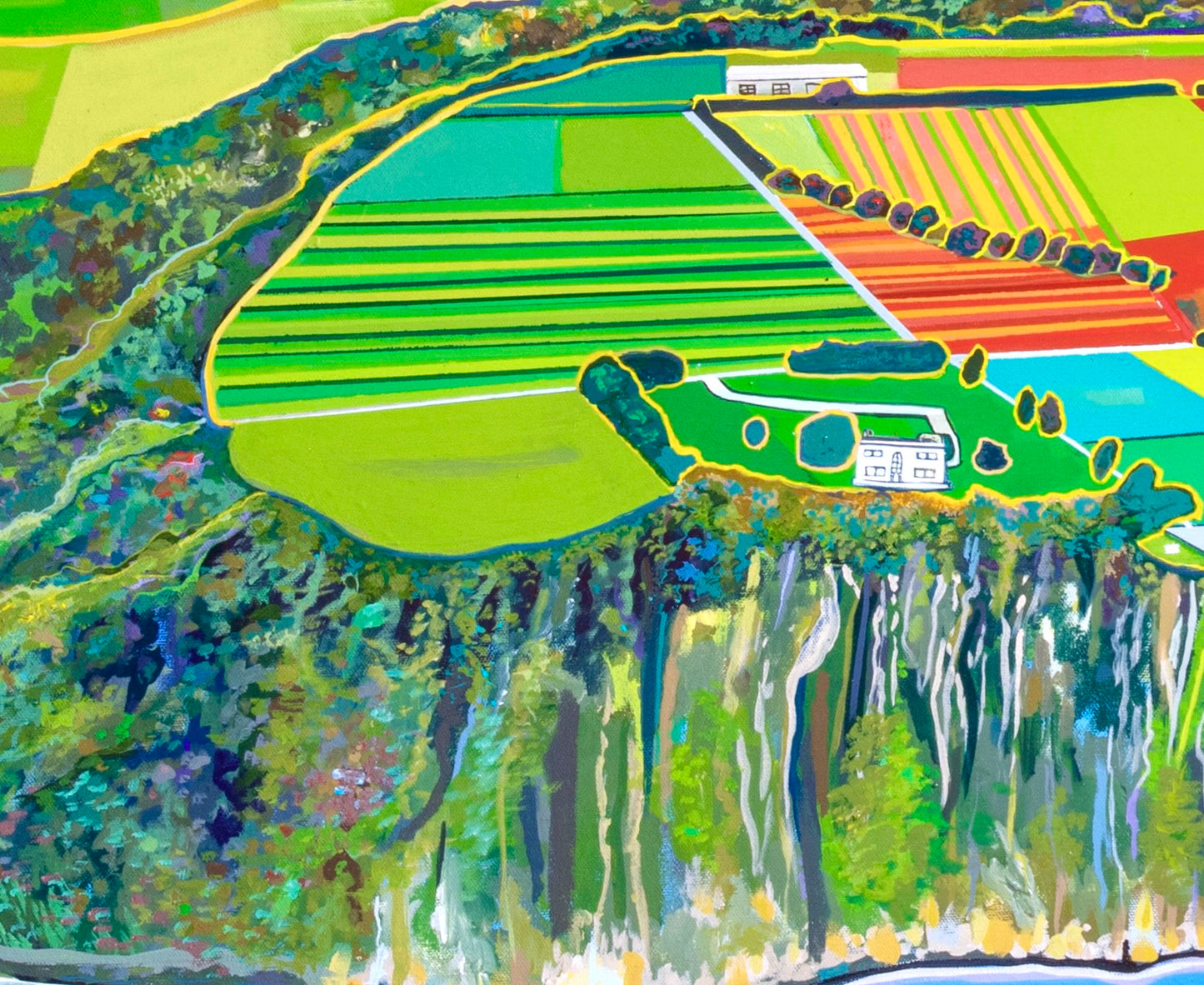 'Tulip Season Upon Table Cape' acrylic print