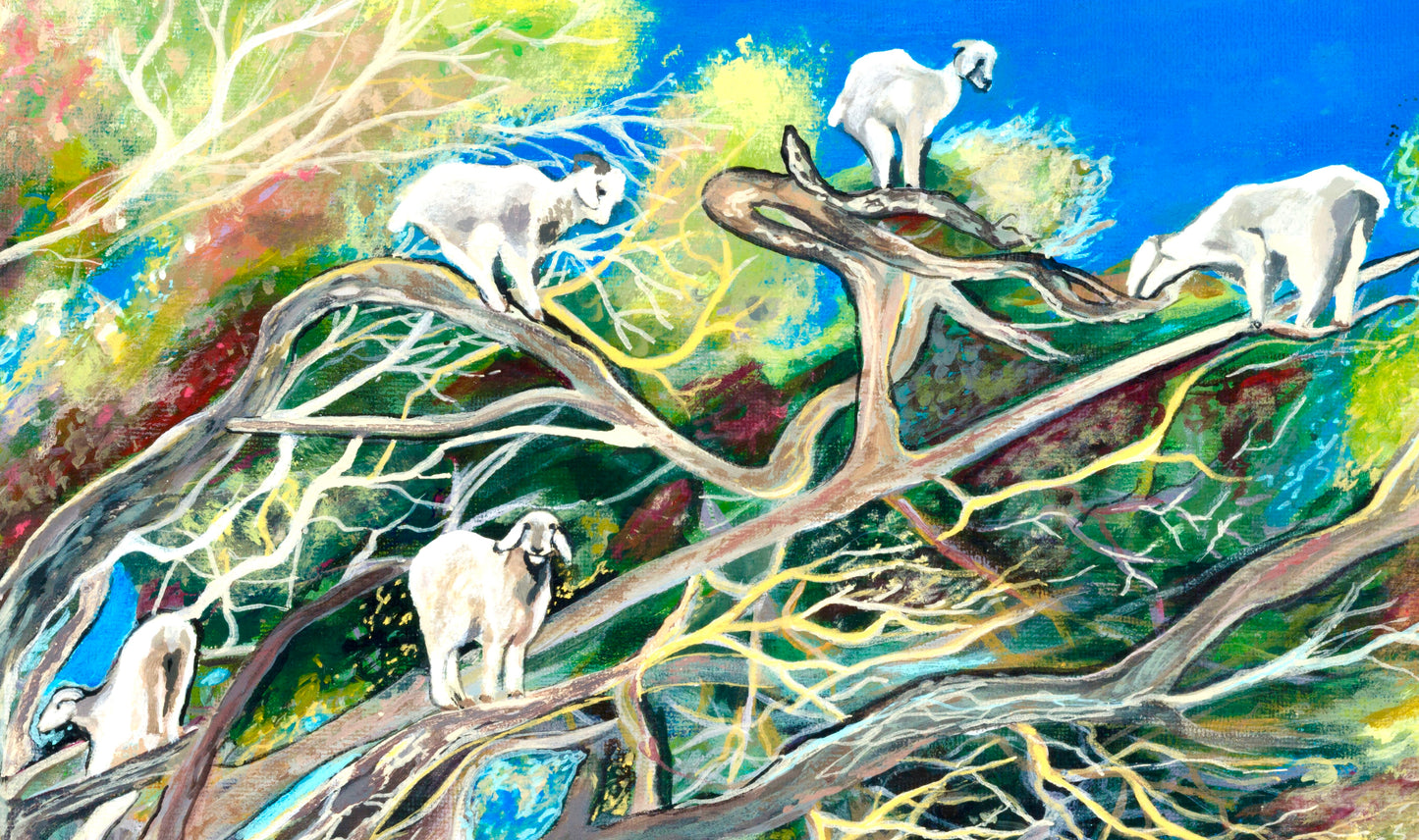 'Goats, They Climb Trees' acrylic print