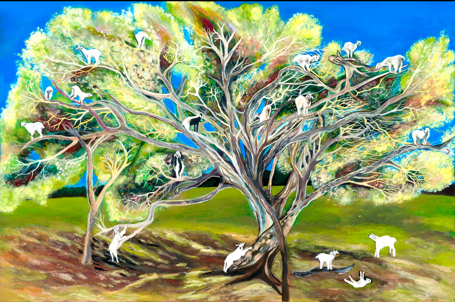 'Goats, They Climb Trees' acrylic print