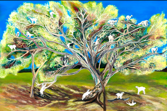 'Goats, They Climb Trees' acrylic print
