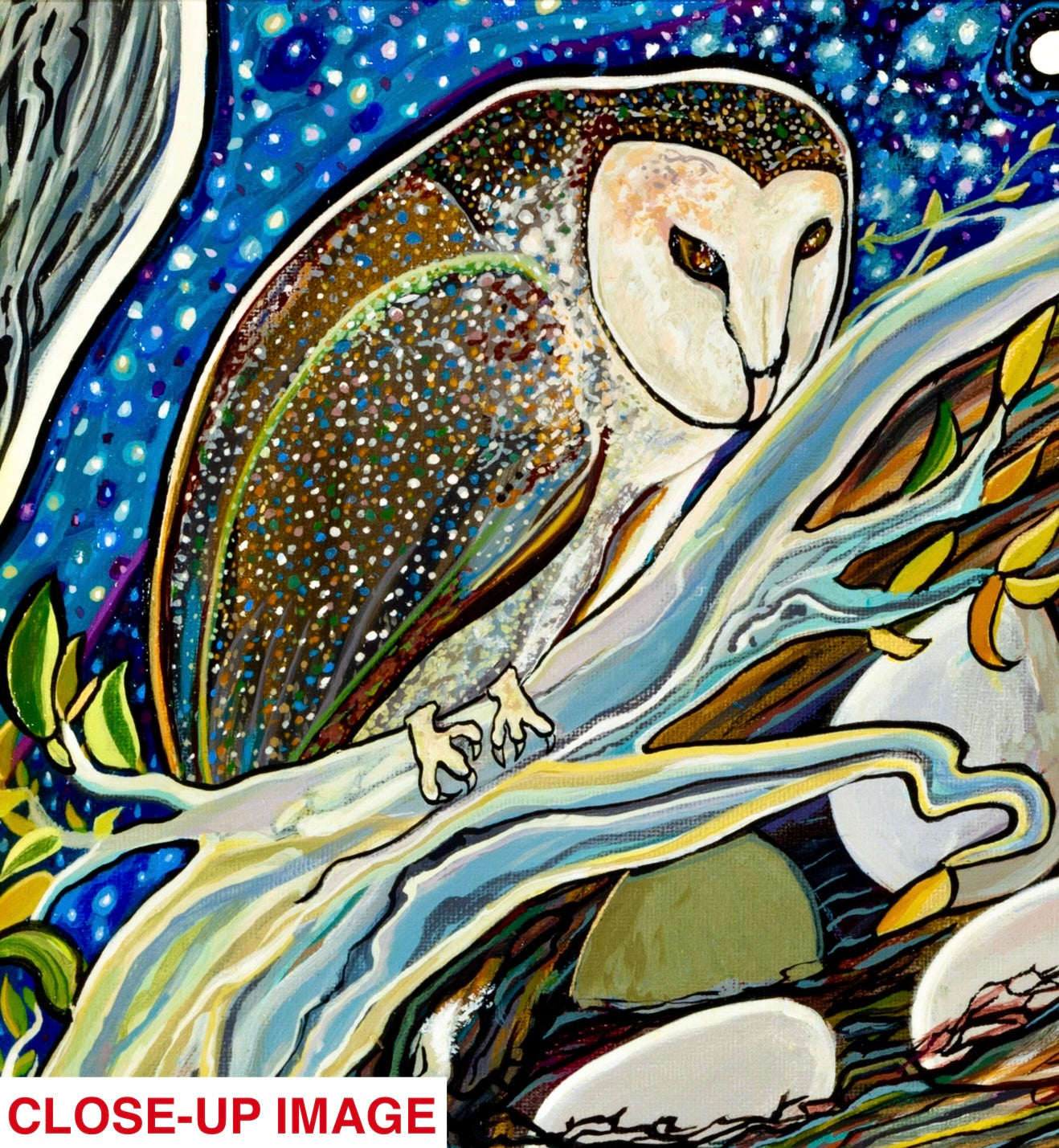 'Midnight Miracle' acrylic print